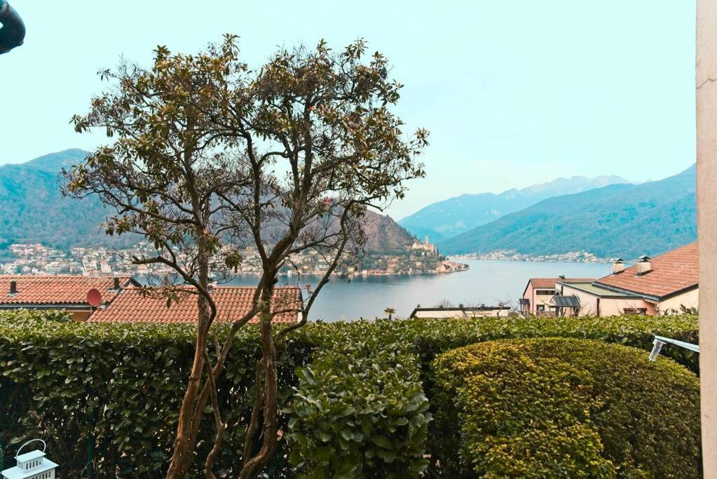 Апартаменти Miralago Lugano Sporting Club Cuasso Al Monte Екстер'єр фото
